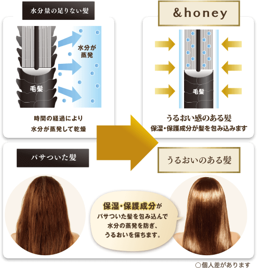 保水の真実