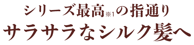 &honey史上最高の指通りサラサラなシルク髪へ